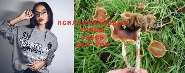 стафф Аркадак