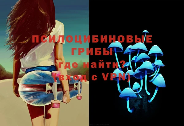 стафф Аркадак