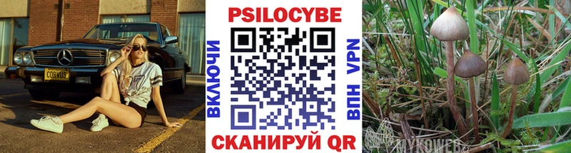 Псилоцибиновые грибы Psilocybine cubensis Солигалич