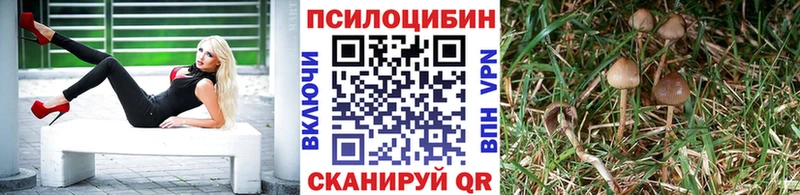 Псилоцибиновые грибы Psilocybine cubensis  Солигалич 